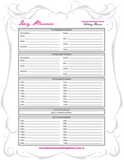 wedding day planner